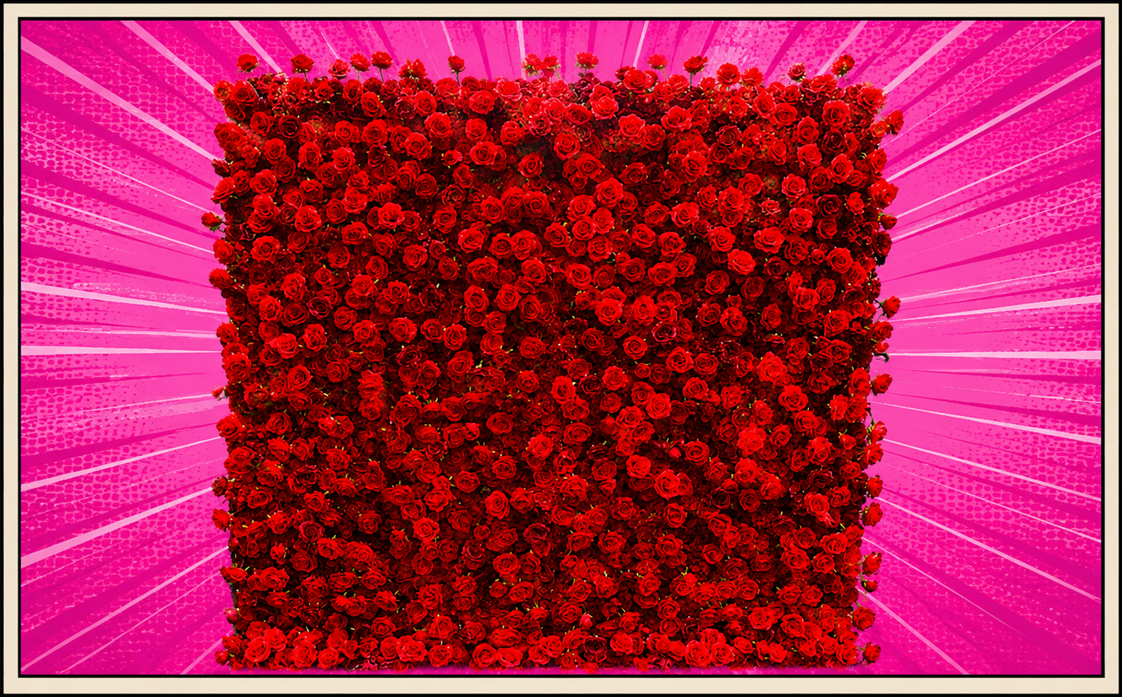 Red Rose Wall